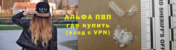 соль ск Козельск