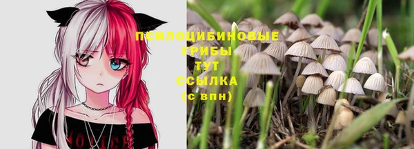ALPHA-PVP Кодинск