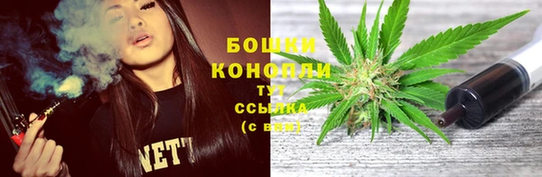соль ск Козельск