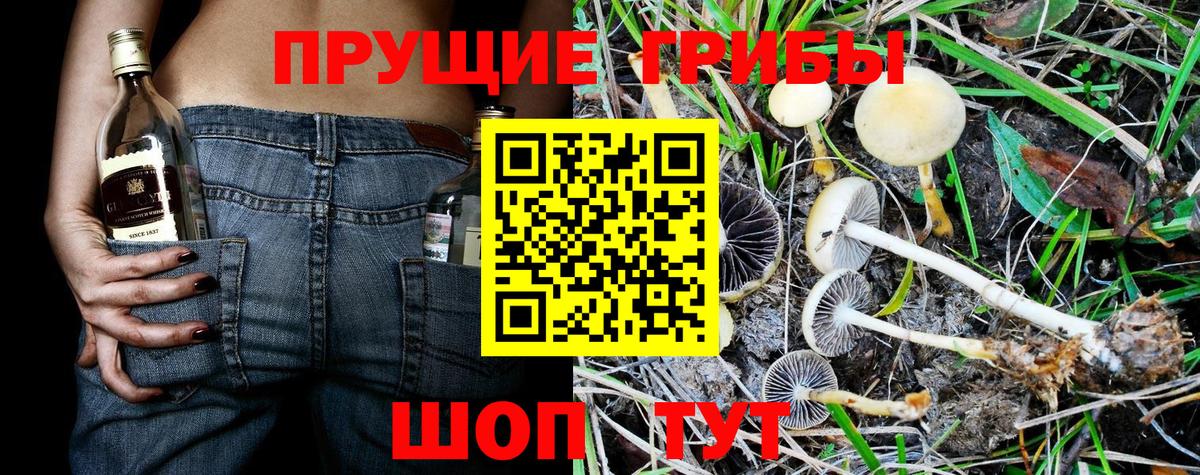 Мелеуз  Галлюциногенные грибы мицелий  Вход с VPN  Галлюциногенные грибы мицелий 
