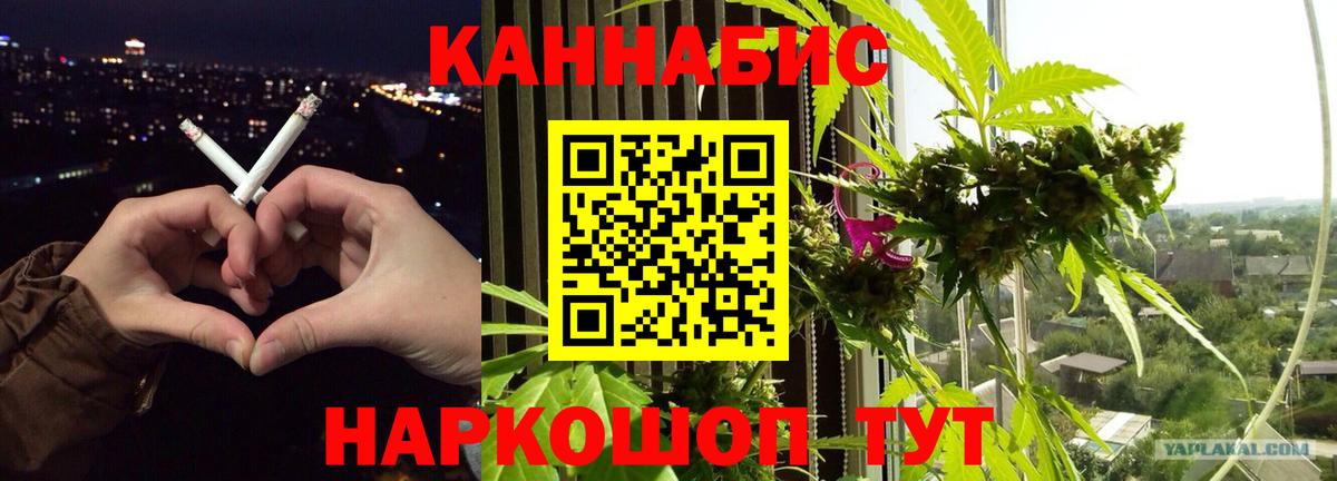 Бошки марихуана конопля  МАРИХУАНА тримм  Вход с VPN  Каннабис Ganja  Мелеуз 